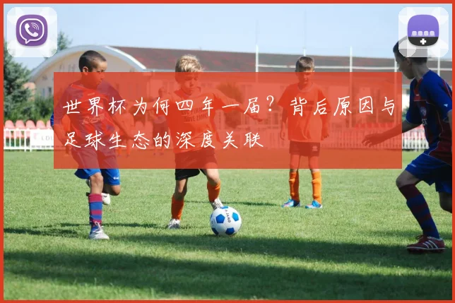 世界杯为何四年一届？背后原因与足球生态的深度关联