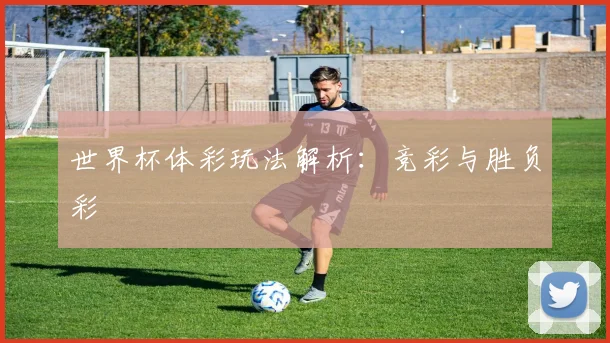 世界杯体彩玩法解析：竞彩与胜负彩