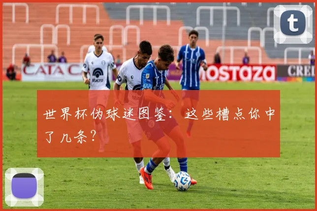 世界杯伪球迷图鉴：这些槽点你中了几条？