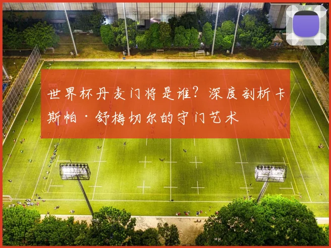 世界杯丹麦门将是谁？深度剖析卡斯帕·舒梅切尔的守门艺术