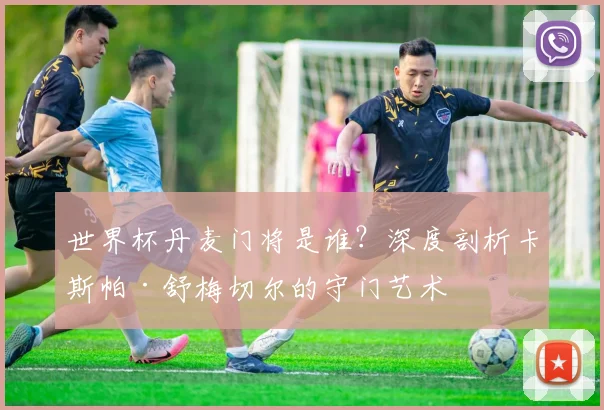世界杯丹麦门将是谁？深度剖析卡斯帕·舒梅切尔的守门艺术