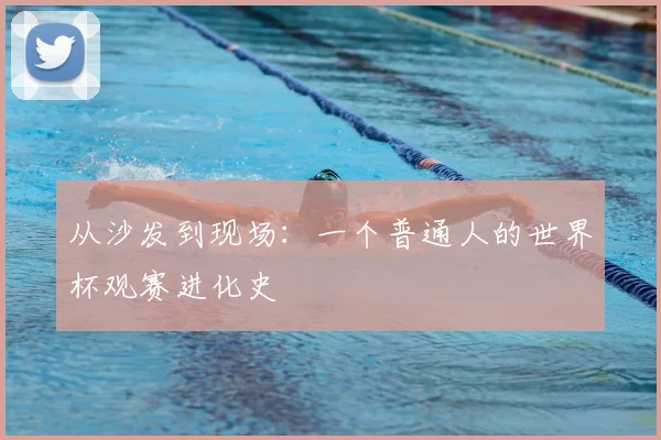 从沙发到现场：一个普通人的世界杯观赛进化史