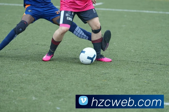 mksports在线登录入口平台生态图